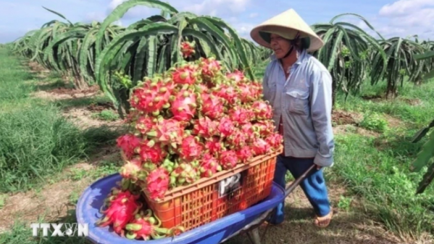 Israel shares experience in water-saving irrigation